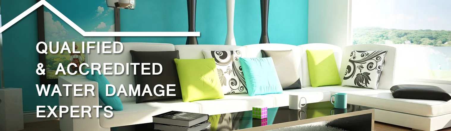 2 Easy-Peasy Steps For Wet Carpet Cleaning Without Steam Cleaner
