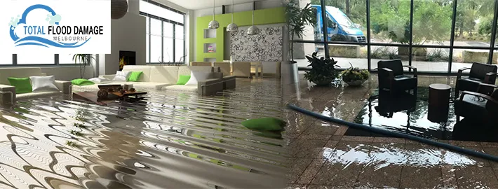24/7 Water Damage Services in Melbourne: What to Expect