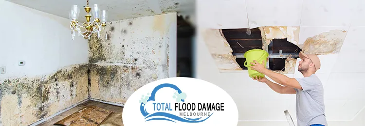 Water Damage