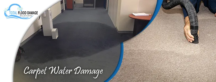 4 Crucial Facts of Hiring Professionals For Carpet Water Damage Services