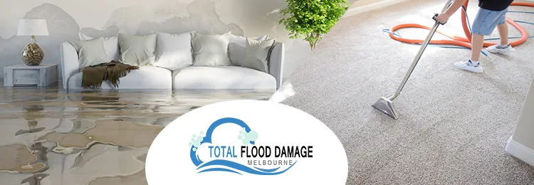 4 Mistakes That You Should Avoid Whole Carpet Restoration