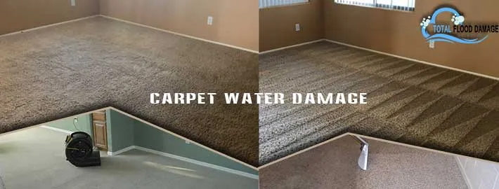4 Reasons Why You Should Get Our Services For Damaged Carpets