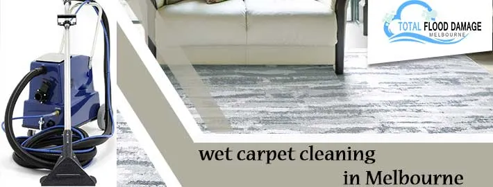 5 Common Types of Carpet Cleaning in the Market