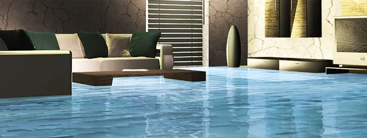 carpet water damage