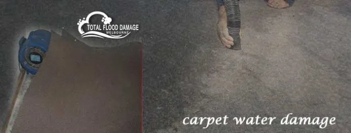 5 Reasons to Hire a Professional to Deal with Carpet Water Damage