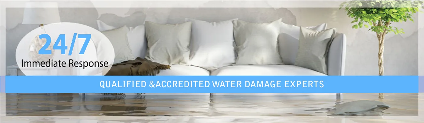 How Long Does It Take to Dry Carpet After Water Damage?