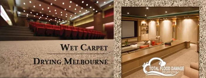 A Beginner's Guide To Dry Carpet After a Water Damage