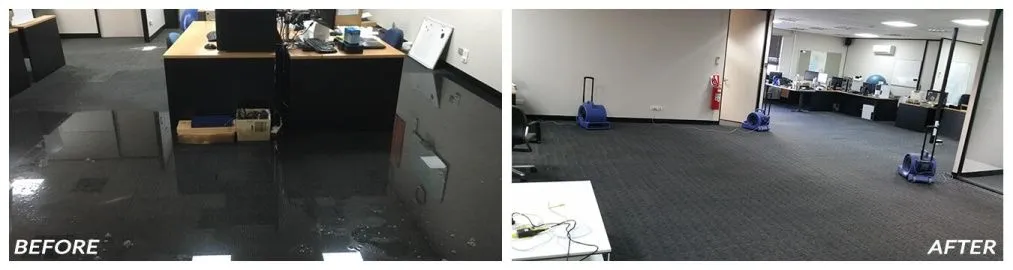 Amazing Health Benefits of Wet Carpet Cleaning