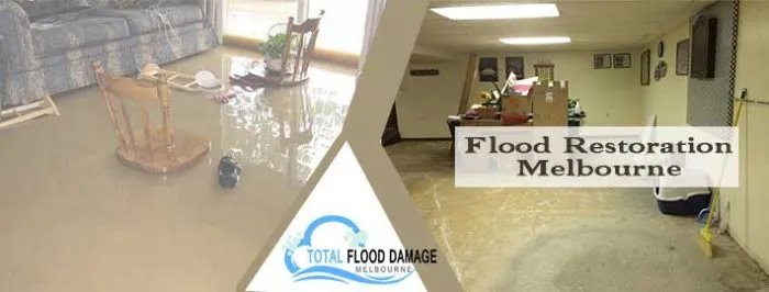 Benefits of Hiring a Professional Flood Restoration Company