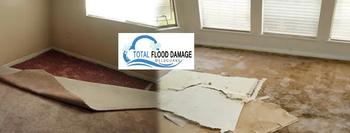 Best Way to Clean Carpet After You&#039;ve Suffered From Water Damage