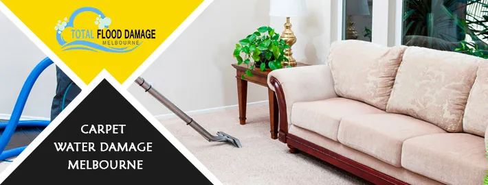 Best Ways to Restore Carpet Water Damage for Reverting Its Glory