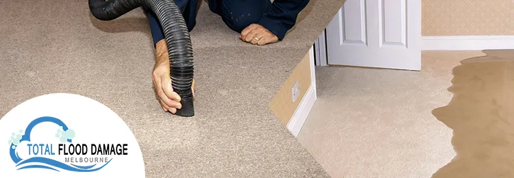Can My Waterlogged Carpets Be Saved After Flood Damage?