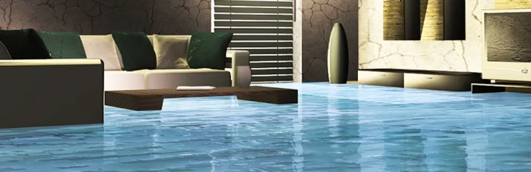 Flood Restoration