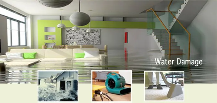 How to Prevent Mould After Water Damage - Melbourne Guide