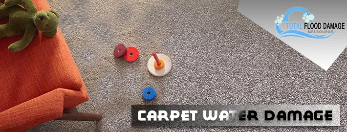 carpet water damage Melbourne