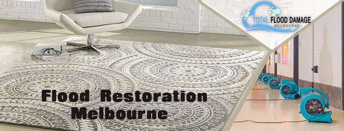 How To Choose A Flood Restoration Company: What Should I Look For When Choosing The Best One?