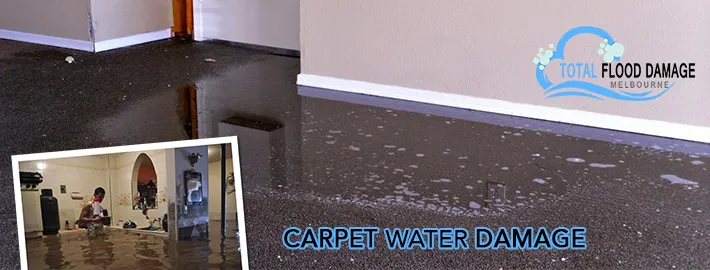 Considerations When You Need Water Damage Restoration Services? 4 Tips to Follow!