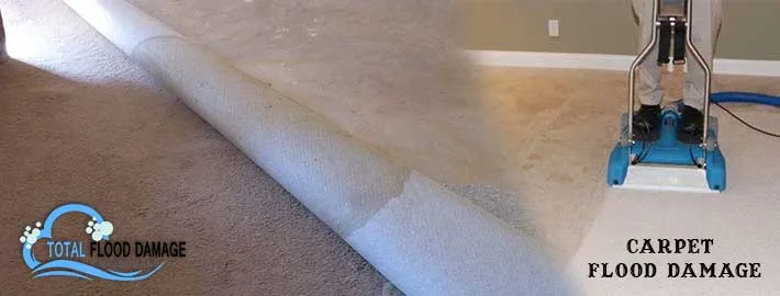 Can a Carpet Cleaning Company Improve Your Carpet Quality?
