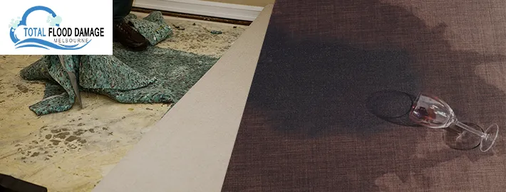 Core Reasons to Hire a Wet Carpet Cleaning Service