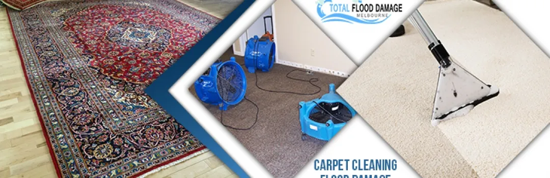 Flood Restoration