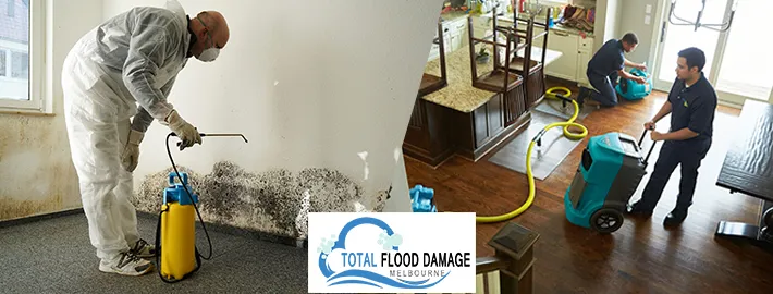 Define a Difference Between Water Damage and Flood Damage