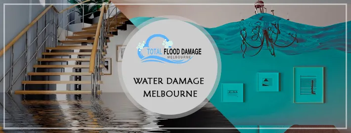 Determine The Causes Of Commercial Water Damage - Read To Know!
