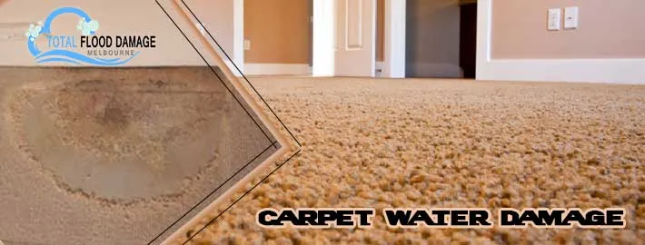 Determine The Difference Between Water Damage And Flood Damage