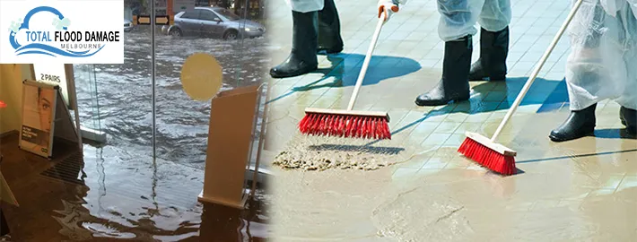 Determine the Most Common Causes of Water Damage