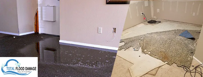 Does hiring a carpet damage control company help?