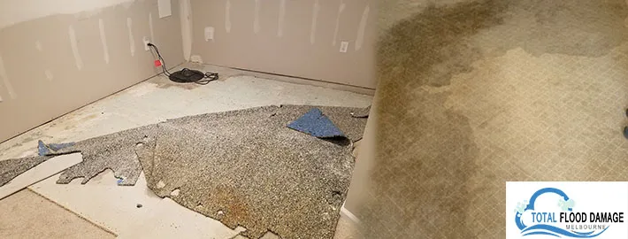 carpet water damage Melbourne