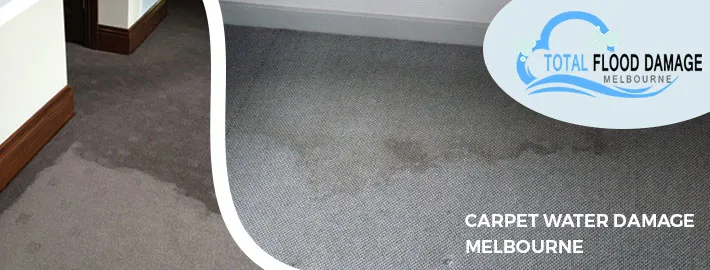 Here are Few Easy Ways on How to Take Care of Carpet Water Damage