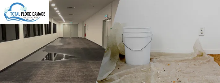 Effective Tips to Tackle Carpet Water Damage