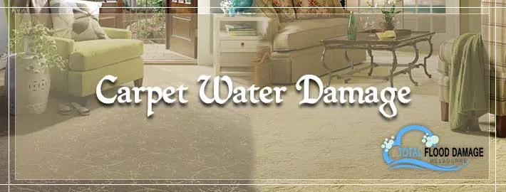 Effective Tips for Handling Wet Carpets at Home or the Office