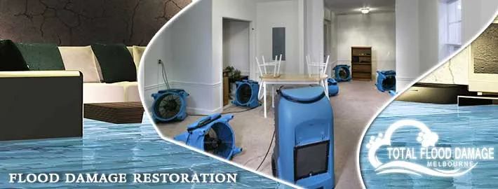 Flood Damage: Consequences and the Importance of Professional Cleaners