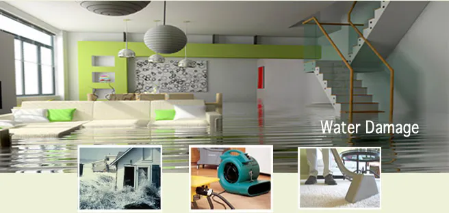 What to Do After Your House Floods - A Melbourne Homeowner's Guide