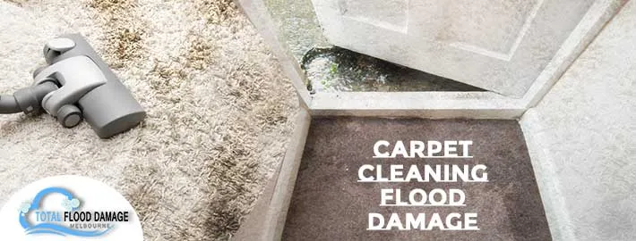 Get Ready For the Summer Party With Carpet Cleaning Procedure