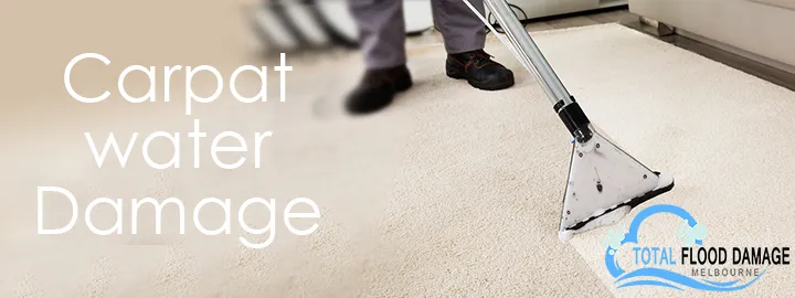 Why You Should Hire a Carpet Water Damage Restoration Service