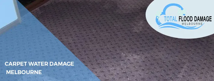 When and How to Hire a Professional Carpet Water Damage Company