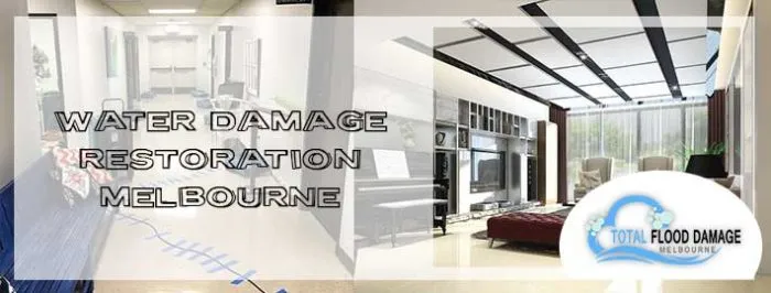 Why You Should Hire a Professional Water Damage Restoration Company