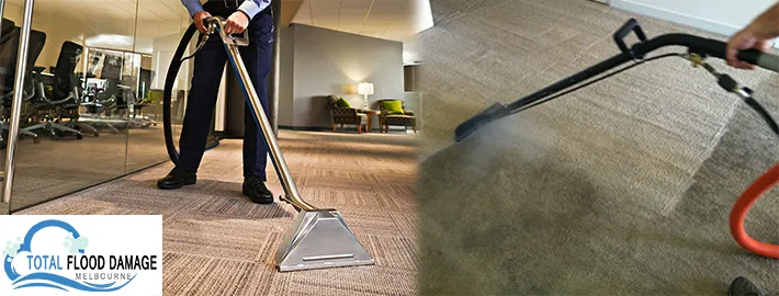 How a Wet Carpet Cleaning Method Can Help Prevent the Growth of Mildew and Mould in Your Carpet