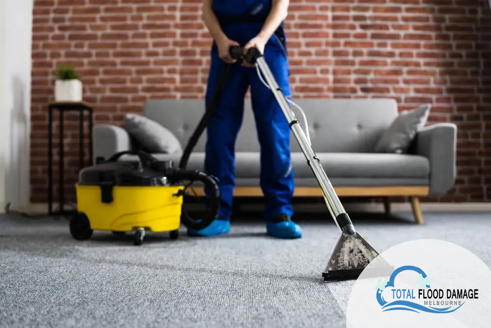 How Can I find Wet Carpet Drying Agents?