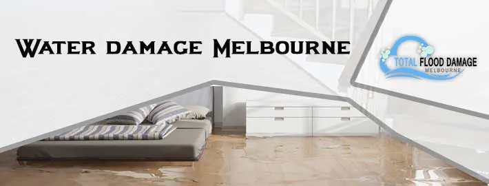 How Can Water damage Melbourne Service Expert Prevent The Growth Of Mildew?
