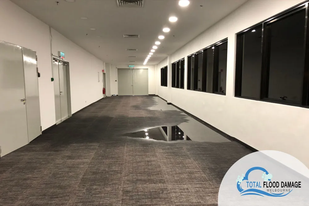 How Do You Restore A Carpet After A Flood?