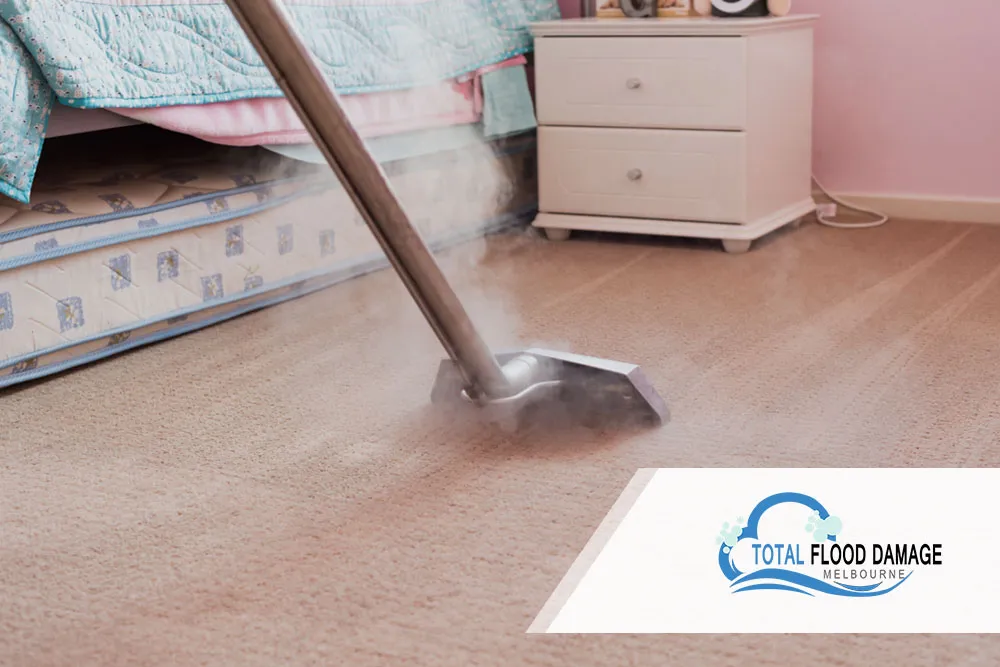 How To Clean A Wet Carpet - The Ultimate Guide