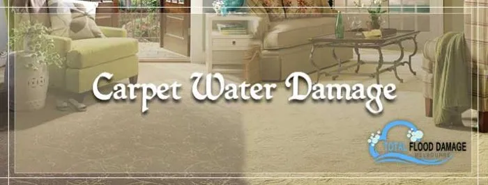 Carpet Water Damage