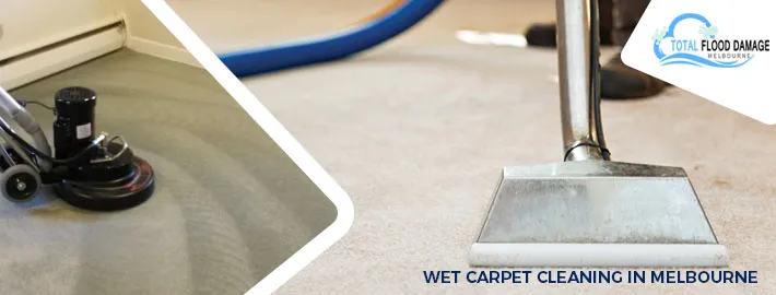 How To Prevent the Mould Growth on Carpets After Water Damage?