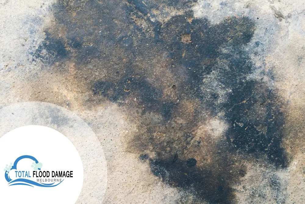 How To Remove Water Stains From Carpets?