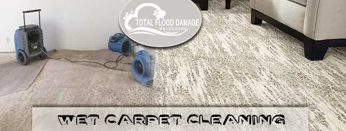 How to Deal with Wet Carpets in Your Home or Office