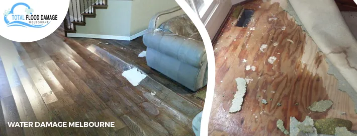 The Importance and Benefits of a Water Damage Restoration Company