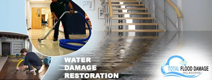 Why Is It Important To Seek Water Damage Restoration On Time?